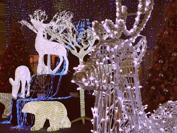 Parlak Noel geyiği Sergisi