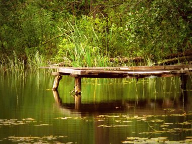 Orman Nehri üzerinde 