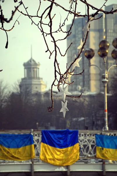 Революция в Киеве . — стоковое фото