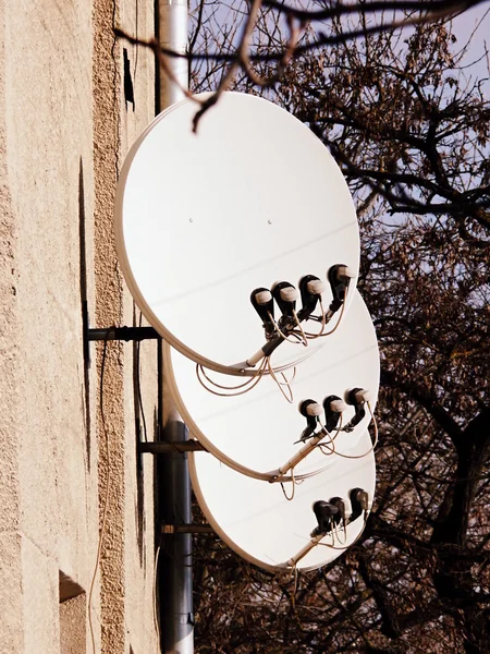 Muitas antenas parabólicas — Fotografia de Stock