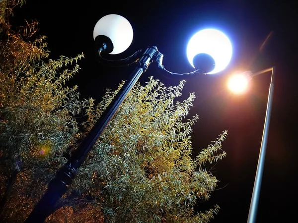akşam Park 