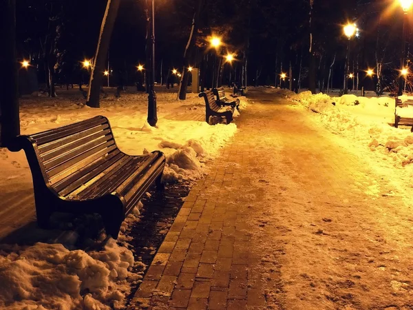 Abend im Park — Stockfoto