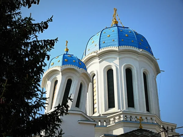 Николаевский собор (Церковь пьяная ) — стоковое фото