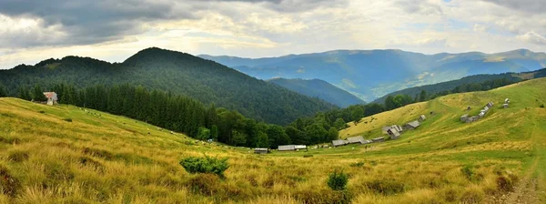 Beleza nas Montanhas Cárpatas — Fotografia de Stock