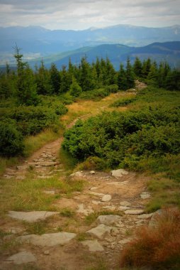 güzel Dağları Karpat
