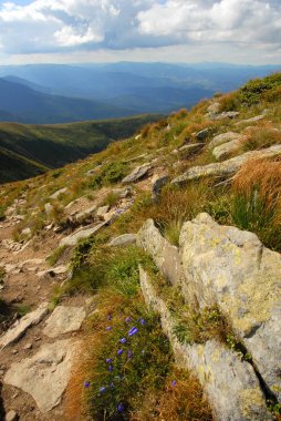 güzel Dağları Karpat