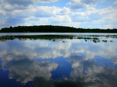 Bahçe ve Nehri yakınında