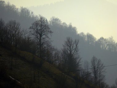 güzel Dağları Karpat