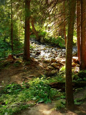 güzel Dağları Karpat