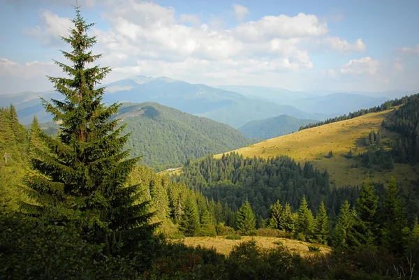 Schöne Berge Karpaten — Stockfoto