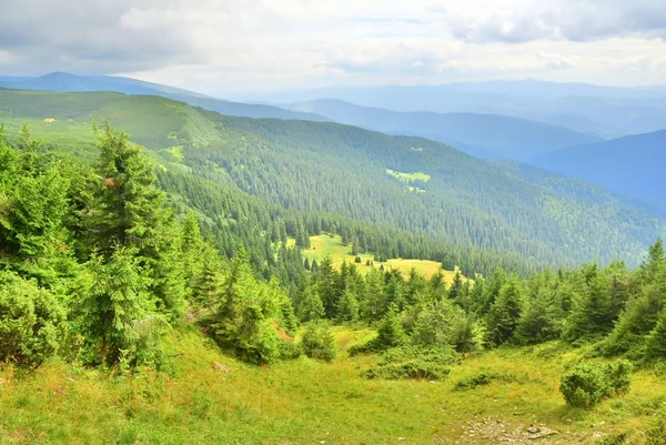 Красиві гори Карпати — стокове фото