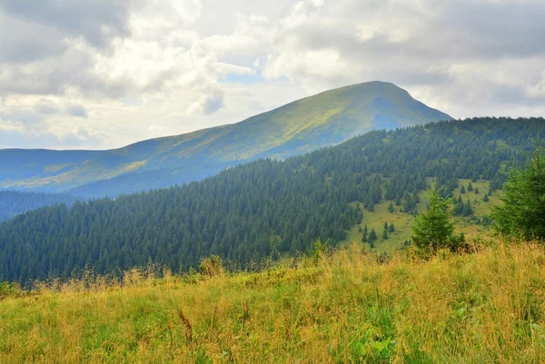 Prachtige bergen Karpaten — Stockfoto