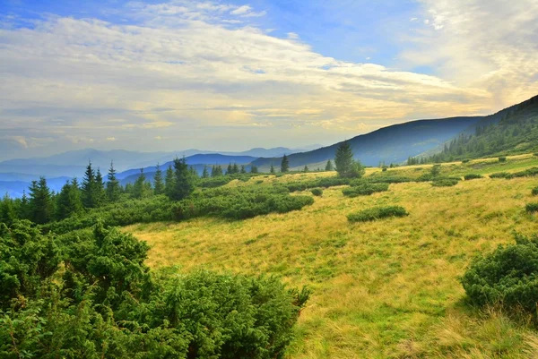 Красиві гори Карпати — стокове фото