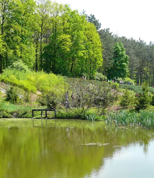 En un hermoso parque — Foto de Stock