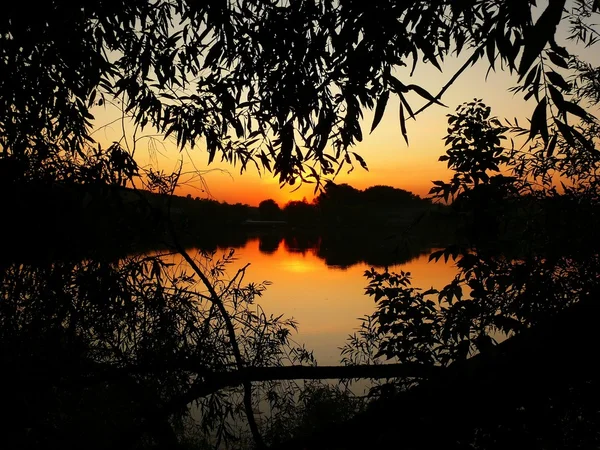 Schöner Sonnenuntergang und auf dem Feld. — Stockfoto