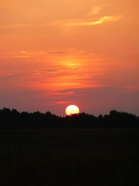 Piękny zachód słońca i na polu. — Zdjęcie stockowe