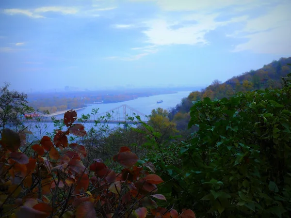 Garten und Flussnähe — Stockfoto