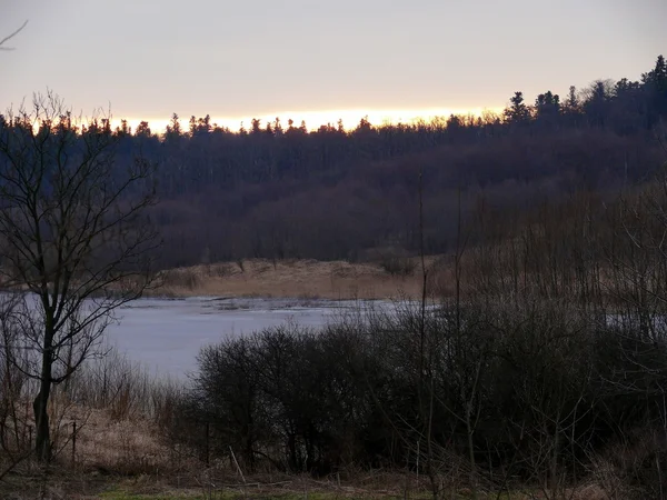 In einem schönen Park — Stockfoto