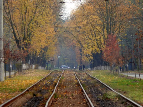秋の公園トラムレール — ストック写真