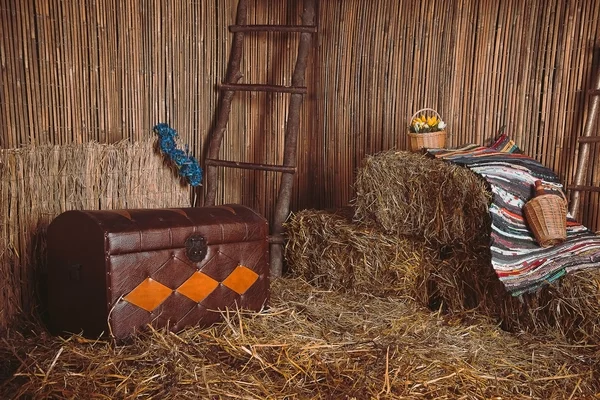 Scenery in the village barn studio — Stock Photo, Image