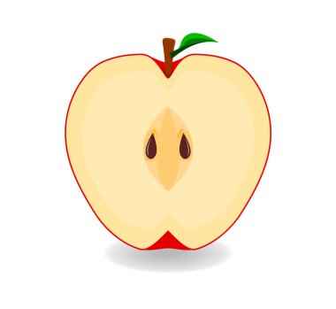 Beyaz arka planda yarım elma. Sağlıklı besin ve vitamin içeren bir meyvedir. vektör tasarımı