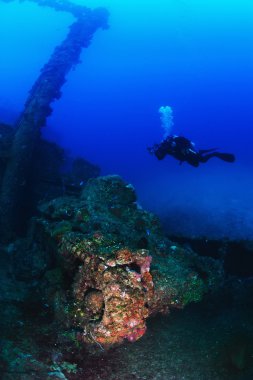 Scuba diver sualtı fotoğrafçısı. 