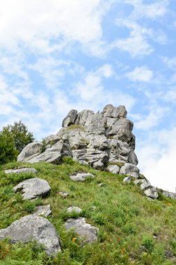 Tustan 'ın kaya kompleksi, antik şehir kalesi. Tepedeki yeşil çimenler, güneşli bir gün, mavi gökyüzü. Karpatlar 'da yaz mevsimi. Lviv oblast, Ukrayna.