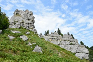 Tustan 'ın kaya kompleksi, antik şehir kalesi. Tepedeki yeşil çimenler, güneşli bir gün, mavi gökyüzü. Karpatlar 'da yaz mevsimi. Lviv oblast, Ukrayna.