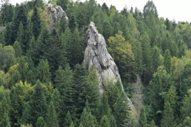 Tustan 'ın kaya kompleksi, antik şehir kalesi. Yeşil ormandaki büyük uçurumlar. Lviv Oblastı, Ukrayna. Karpatlar 'da yaz.