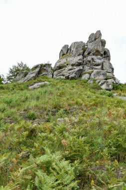 Tustan 'ın kaya kompleksi, antik şehir kalesi. Lviv Oblastı, Ukrayna. Karpatlar 'da yaz mevsimi. Tepedeki yeşil çimenler.