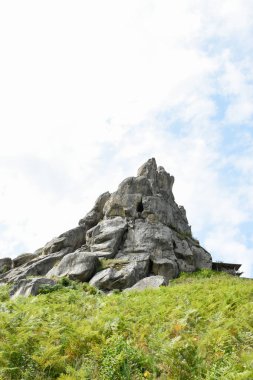 Tustan 'ın kaya kompleksi, antik şehir kalesi. Tepedeki yeşil çimenler, güneşli bir gün, mavi gökyüzü. Karpatlar 'da yaz mevsimi. Lviv oblast, Ukrayna.