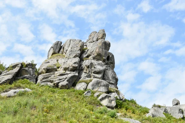 Tustan 'ın kaya kompleksi, antik şehir kalesi. Tepedeki yeşil çimenler, güneşli bir gün, mavi gökyüzü. Karpatlar 'da yaz mevsimi. Lviv oblast, Ukrayna.