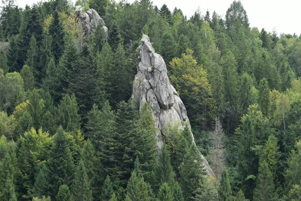 Tustan 'ın kaya kompleksi, antik şehir kalesi. Yeşil ormandaki büyük uçurumlar. Lviv Oblastı, Ukrayna. Karpatlar 'da yaz.