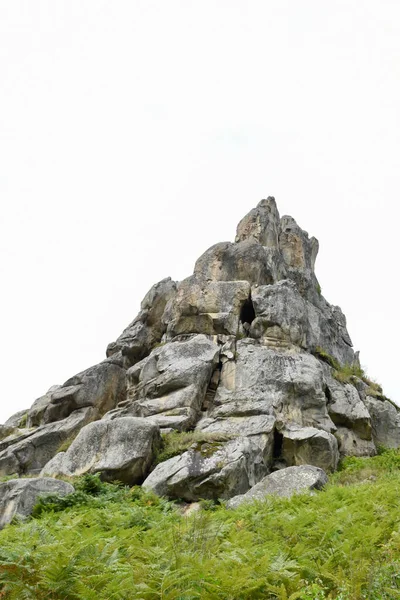 Tustan 'ın kaya kompleksi, antik şehir kalesi. Tepedeki yeşil çimenler, güneşli bir gün. Karpatlar 'da yaz mevsimi. Lviv oblast, Ukrayna.