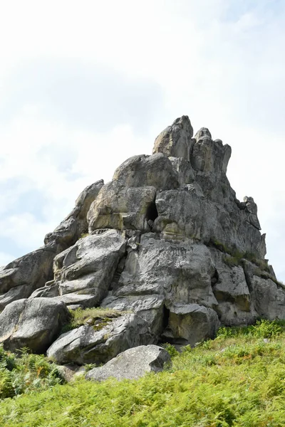 Tustan 'ın kaya kompleksi, antik şehir kalesi. Tepedeki yeşil çimenler, güneşli bir gün, mavi gökyüzü. Karpatlar 'da yaz mevsimi. Lviv oblast, Ukrayna.