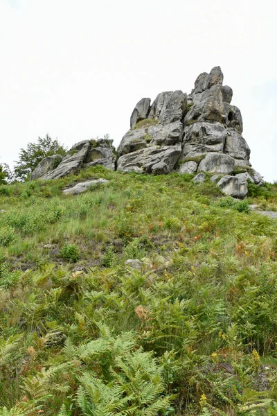 Tustan 'ın kaya kompleksi, antik şehir kalesi. Lviv Oblastı, Ukrayna. Karpatlar 'da yaz mevsimi. Tepedeki yeşil çimenler.