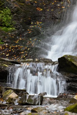 Laznyi Şelalesi, Karpat Dağları, Ukrayna. Akıp giden kayaların arasından akıp giden köpüklü bir su... Güzel sonbahar manzarası, ağaçlık, taşların üzerindeki renkli yapraklar..