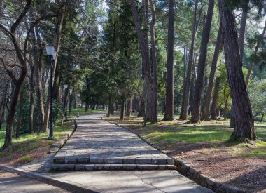 Büyük şehir parkı. Tivat şehir, Karadağ