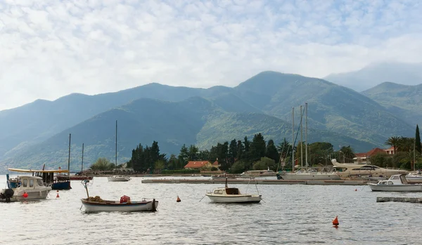 Monténégro, baie de Kotor près de Tivat . — Photo