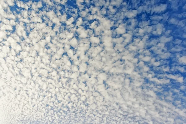 Chmury Cirrocumulus, tekstura — Zdjęcie stockowe