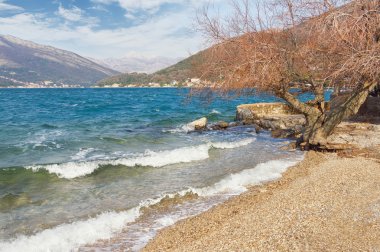 Rüzgarlı kış günü. Kotor Körfezi, Karadağ
