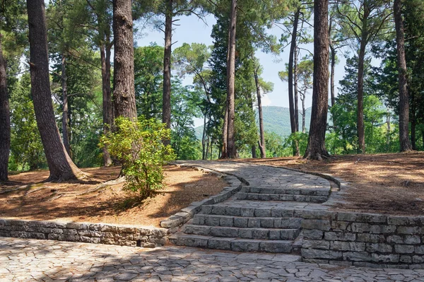 Walking path in Large Town Park of  Tivat city. Montenegro — Stock Photo, Image