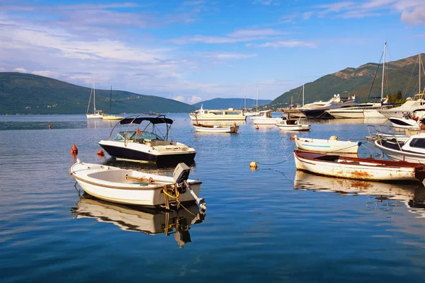 Güzel Akdeniz manzarası. Tivat şehri yakınlarındaki Kotor Körfezi manzarası. Güneşli bir sonbahar gününde suda balıkçı tekneleri. Karadağ, Adriyatik Denizi
