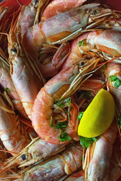 Plato Con Gambas Rosadas Hervidas Rodaja Limón —  Fotos de Stock