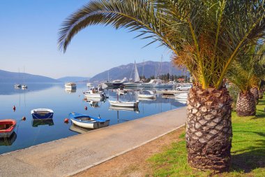 Suyun üzerinde balıkçı tekneleri olan güzel bir Akdeniz manzarası. Karadağ, Kotor Körfezi, Tivat kenti yakınlarındaki Seljanovo köyünün seti