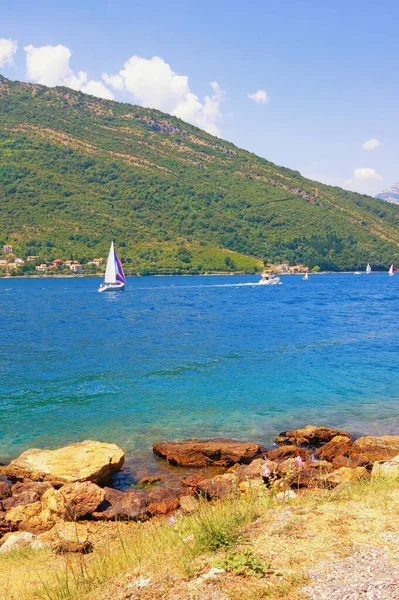 Güzel yaz manzarası. Karadağ, Adriyatik Denizi. Suda yelkenli teknelerle Kotor Körfezi manzarası