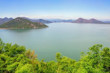 Güneşli bahar gününde Skadar Gölü kıyısı manzarası. Ulusal Park Gölü Skadar, Karadağ