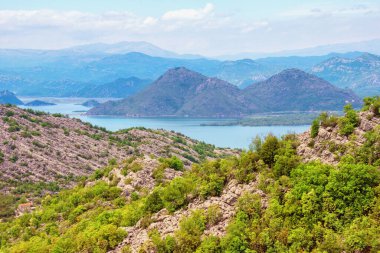 Güzel dağ manzarası. Karadağ, Ulusal Park Gölü Skadar. Bahar günü Skadar Gölü kıyısında