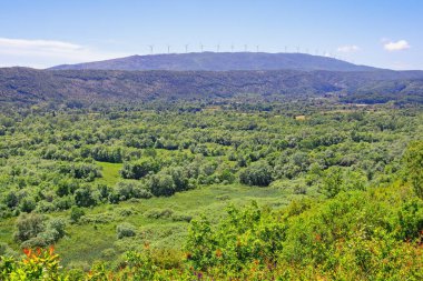 Güzel yeşil güneşli yaz manzarası. Karadağ, Ulcinj. Tıraş Gölü 'nün çevresi kuş izleme alanı olarak bilinir. Tepedeki yel değirmenleri