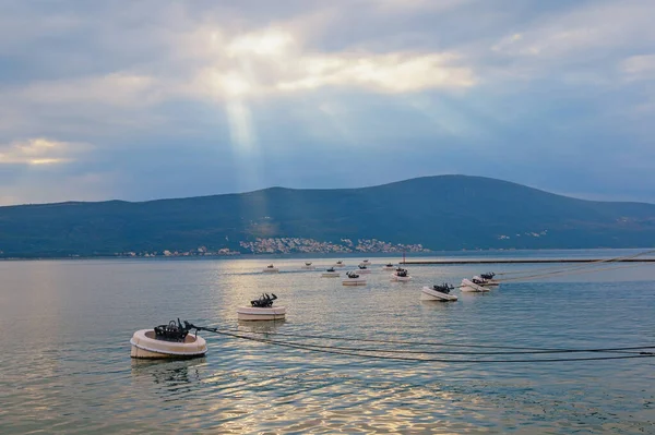 Prachtig Mediterraan Landschap Bij Zonsondergang Aanlegboeien Aanmeren Haven Van Tivat — Stockfoto